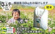 【令和8年産 新米】しょうちゃんの棚田米 夢しずく 米 10kg 佐賀県産 精米 栽培期間中農薬・化学肥料不使用 _c-42