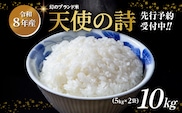 【令和8年産 新米 予約】天使の詩 精米 10kg（5kg×2袋）佐賀県産 白米 _c-128