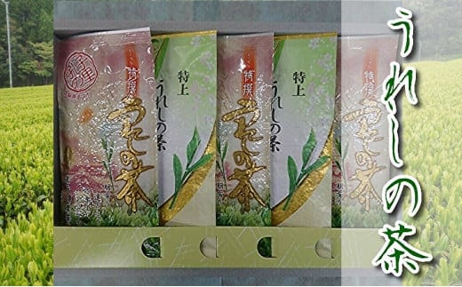 c-53 うれしの茶（嬉野茶）特上・特撰５本セット