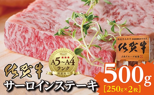 d-72 佐賀牛サーロインステーキ（２５０ｇ×２枚）