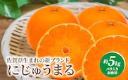 にじゅうまる 約5kg バラ入り お徳用 _e-38