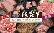 i-6【定期便12回】厳選 佐賀牛 食べ比べ 毎月お届け 月替り 佐賀牛定期便 全12回