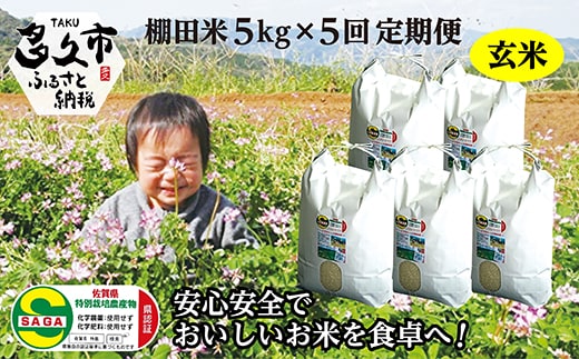 【定期便 全5回】【令和8年産 新米】しょうちゃんの棚田米 夢しずく 玄米 5kg×5回 合計25kg 佐賀県産 米 栽培期間中農薬・化学肥料不使用 _k-3