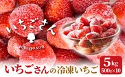 冷凍いちご（いちごさん）5kg（500g×10） _k-30