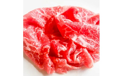 佐賀牛赤身スライス 500g【フルーム】[FAZ005]