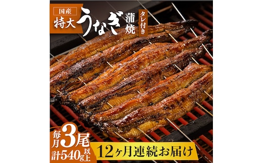 お店と変わらない味！？ふっくらジューシーのこだわりうなぎ【12回定期便】国産うなぎ蒲焼 3枚セット【丸安】 [FAD008]