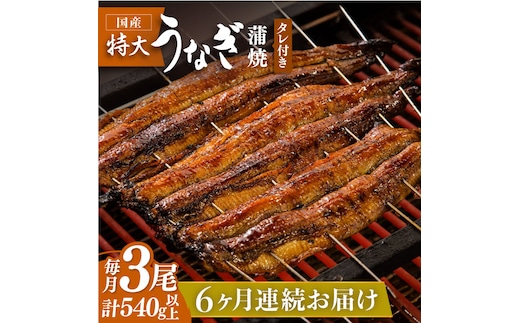 お店と変わらない味！？ふっくらジューシーのこだわりうなぎ【6回定期便】国産うなぎ蒲焼 3枚セット【丸安】 [FAD007]