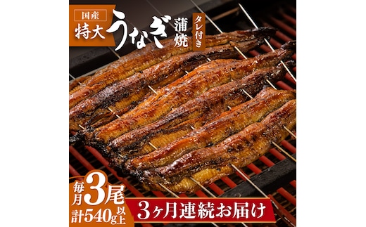 お店と変わらない味！？ふっくらジューシーのこだわりうなぎ【3回定期便】国産うなぎ蒲焼 3枚セット【丸安】 [FAD006]