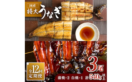 お店と変わらない味！？ふっくらジューシーのこだわりうなぎ【12回定期便】国産うなぎ蒲焼・白焼3枚セット（うなぎ蒲焼2枚・白焼1枚）【丸安】 [FAD005]