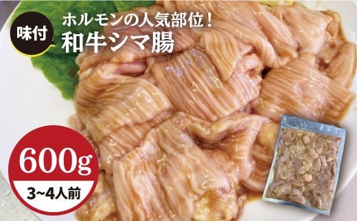 プリプリで味わい深い！ホルモン専門店の和牛シマ腸600g（3〜4人前）【三田川ホルモン専門店】吉野ヶ里町 [FAC008]