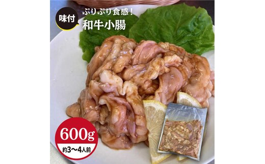プリプリで味わい深い！ホルモン専門店の和牛小腸 600g（約3〜4人前）【三田川ホルモン専門店】吉野ヶ里町 [FAC007]