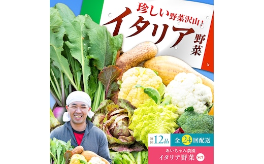【12品×24回定期便】農薬に頼らない！カラダにやさしい「イタリア野菜」セット（ラージ）【吉野ヶ里あいちゃん農園】[FAA023]