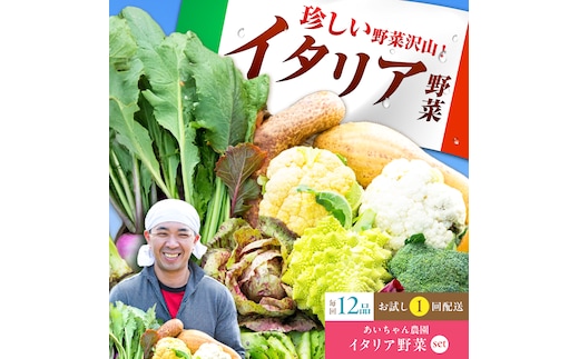 【12品】農薬に頼らない！カラダにやさしい「イタリア野菜」セット（ラージ）吉野ヶ里町/吉野ヶ里あいちゃん農園[FAA021]