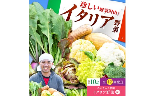【10品×12回定期便】農薬に頼らない！カラダにやさしい「イタリア野菜」セット（レギュラー）【吉野ヶ里あいちゃん農園】[FAA018]