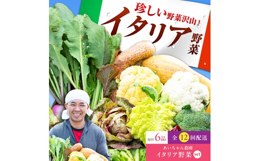 【6品 / 12回定期便】農薬に頼らない！カラダにやさしい「イタリア野菜」セット（ショート）【吉野ヶ里あいちゃん農園】[FAA014]