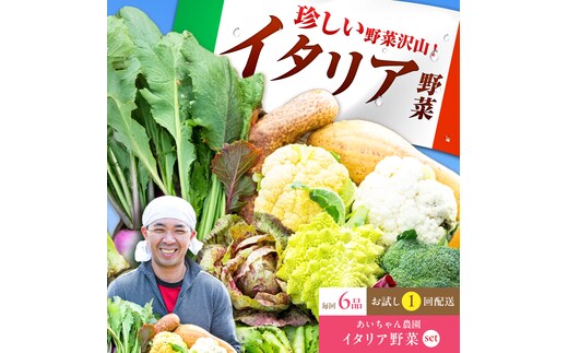 【6品】農薬に頼らない！カラダにやさしい「イタリア野菜」セット（ショート）【吉野ヶ里あいちゃん農園】[FAA013]