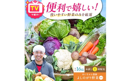 【16品】農薬に頼らない！カラダにやさしい「よしのがり野菜」セット（ラージ）吉野ヶ里町/吉野ヶ里あいちゃん農園 [FAA009]