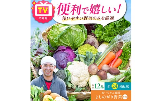 【12品 / 24回定期便】農薬に頼らない！カラダにやさしい「よしのがり野菜」セット（レギュラー）【吉野ヶ里あいちゃん農園】 [FAA007]