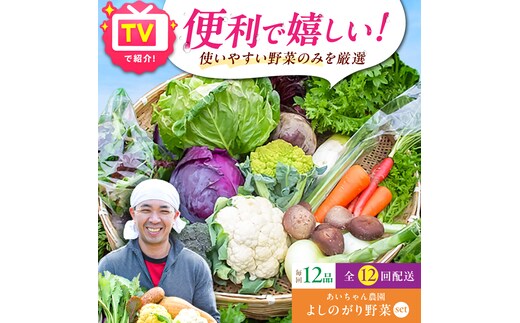 【12品 / 12回定期便】農薬に頼らない！カラダにやさしい「よしのがり野菜」セット（レギュラー）【吉野ヶ里あいちゃん農園】 [FAA006]