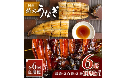 ふっくらジューシーのこだわりうなぎ【6回定期便】国産うなぎ蒲焼・白焼 計6枚セット（うなぎ蒲焼3枚・白焼3枚）×6回【丸安】 [FAD011]