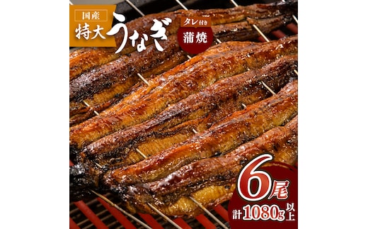 ふっくらジューシーのこだわり国産うなぎ蒲焼 6枚セット【丸安】 [FAD013]