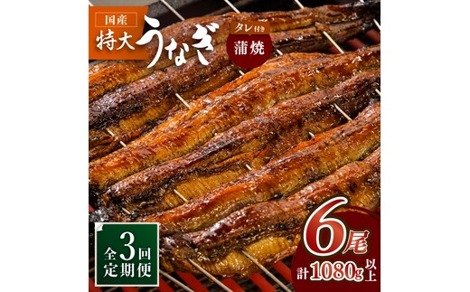 ふっくらジューシーのこだわりうなぎ【3回定期便】国産うなぎ蒲焼 6枚セット×3回【丸安】 [FAD014]