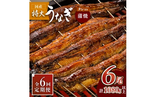 ふっくらジューシーのこだわりうなぎ【6回定期便】国産うなぎ蒲焼 6枚セット×6回【丸安】 [FAD015]