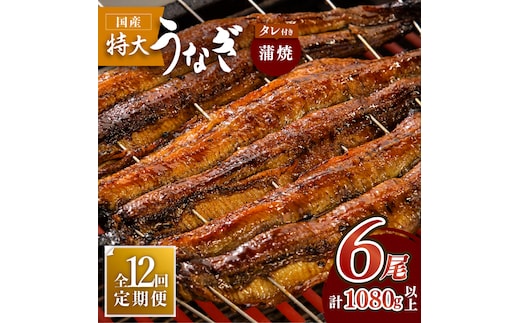 ふっくらジューシーのこだわりうなぎ【12回定期便】国産うなぎ蒲焼 6枚セット×12回【丸安】 [FAD016]