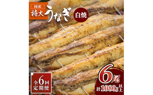 ふっくらジューシーのこだわりうなぎ【6回定期便】国産うなぎの白焼 6枚セット×6回【丸安】 [FAD019]