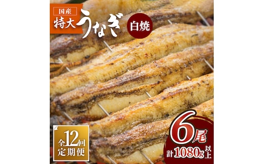 ふっくらジューシーのこだわりうなぎ【12回定期便】国産うなぎの白焼 6枚セット×12回【丸安】 [FAD020]