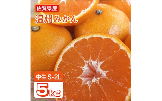 【10月上旬頃〜1月上旬発送】こたつで美味しいみかんを♪ 佐賀県産 中生みかん 5kg みかん ミカン 蜜柑 フルーツ ふるーつ 果物 くだもの 吉野ヶ里町/リエンサーク [FCC010]