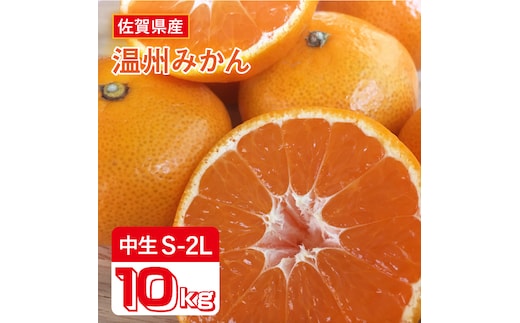 【10月上旬頃〜1月上旬発送】こたつで美味しいみかんを♪ 佐賀県産 中生みかん 10kg 吉野ヶ里町/リエンサーク [FCC009]