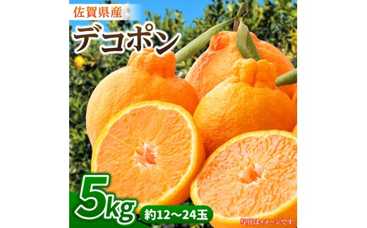 【1月中旬〜3月下旬発送】佐賀県産 みかん「デコポン」5kg 吉野ヶ里町/リエンサーク [FCC007]