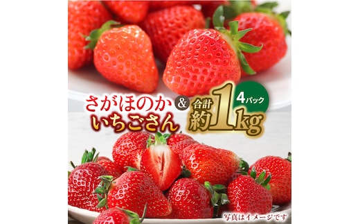 【1月中旬〜2月中旬発送】佐賀県自慢の2種！さがほのか＆いちごさん 平パック4P 約1kg いちご 果物 旬 イチゴ 苺 フルーツ 佐賀県産 佐賀産 佐賀 吉野ヶ里町/リエンサーク [FCC004]