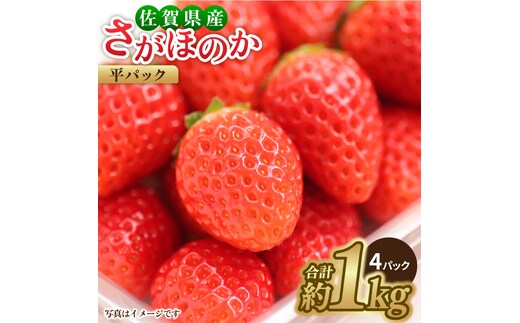 【1月中旬〜3月中旬発送】みずみずしい果肉！さがほのか平パック4P 約1kg いちご 佐賀県産 佐賀県 イチゴ パック 吉野ヶ里町/リエンサーク [FCC002]