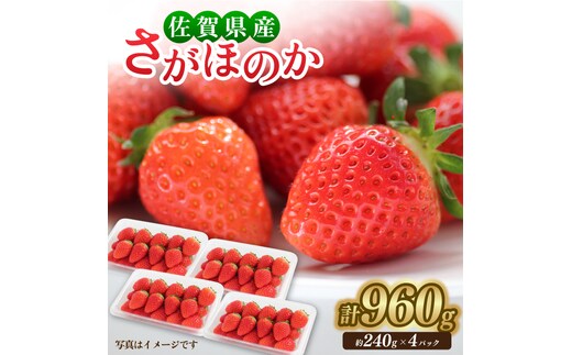 【1月中旬〜3月中旬発送】みずみずしい果肉！さがほのかレギュラーパック4P 240g×4 いちご イチゴ 苺 フルーツ 果物 佐賀 吉野ヶ里町/リエンサーク [FCC001]