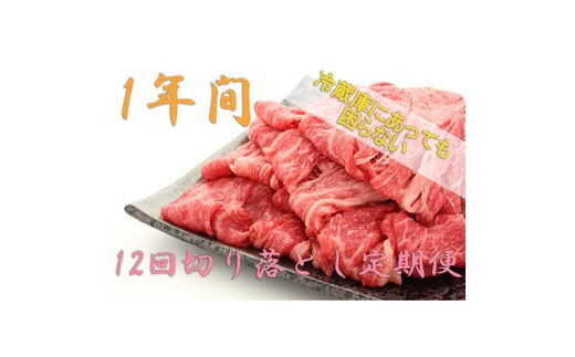【1年間】冷蔵庫にあって困らない！高級切り落とし、佐賀牛定期便 [FAZ041]