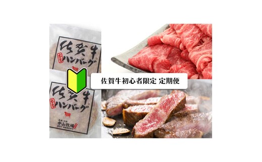 【佐賀牛お試し計6回定期便】佐賀牛の初心者限定定期便 [FAZ045]