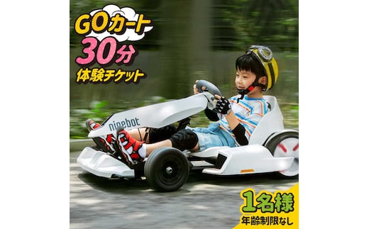 ＜こどもから大人まで！＞ゴーカート30分体験 吉野ヶ里/e-ビークルパーク [FCS001]