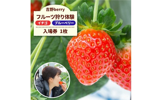 吉野ベリー入場券（1枚） 吉野ヶ里町/吉野麦米 イチゴ狩り ブルーベリー狩り [FCR001]