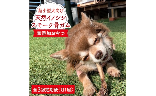 ＜3回定期便＞超小型犬向け☆天然いのししのスモーク骨ガム100g わんこin食堂/吉野ヶ里町 [FCG062]
