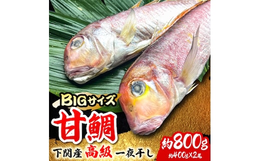 びっくりビッグサイズ！甘鯛一夜干し2尾（1尾あたり約400g） おつまみ 酒の肴 焼き物にぴったり 吉野ヶ里町/やきとり紋次郎 [FCJ075]