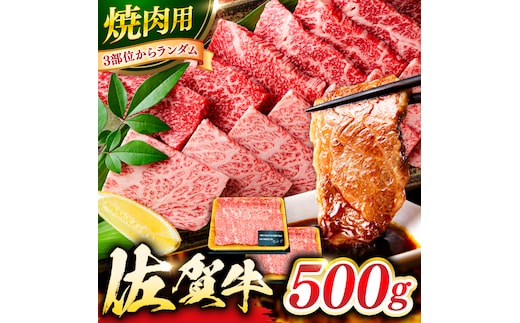 艶さし！ 佐賀牛 焼肉用 500g 吉野ヶ里町 [FDB008]