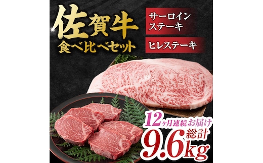 【12回定期便】佐賀牛 ヒレステーキ＆サーロインステーキ 食べ比べ セット 計9.6kg （ヒレ150g・サーロイン250g×各2枚×12回） 吉野ヶ里町 [FDB038]