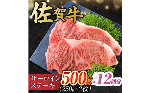 【12回定期便】 艶さし！ 佐賀牛 サーロインステーキ 計6kg （250g×2枚×12回） 吉野ヶ里町 [FDB041]