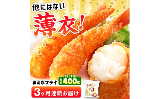 【全3回定期便】水産高校賞受賞！無頭「神えびフライ」9尾～11尾(400g)吉野ヶ里町/EBI研究所 [FDE011]