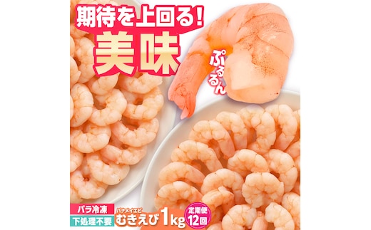 【全12回定期便】背ワタ除去済み！ぷりぷりむきえび 計12kg（500g×2袋×12回）吉野ヶ里町/EBI研究所 [FDE004]