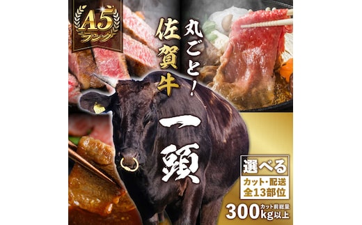 【一頭丸ごとオーダー！】 A5 佐賀牛 一頭食べ尽くしセット 黒毛和牛 オーダーカット 吉野ヶ里町/株式会社MEAT PLUS [FDB066]
