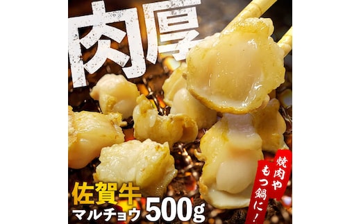 【脂が甘くてぷりっぷり！】佐賀牛ホルモン 焼肉用 小腸 500g（250g×2）味付けなし 吉野ヶ里町/やきとり紋次郎 [FCJ089]