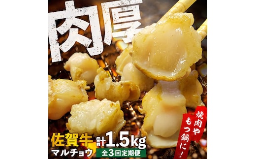 【全3回定期便】 【脂が甘くてぷりっぷり！】佐賀牛ホルモン 焼肉用 小腸 計1.5kg（250g/袋）味付けなし 吉野ヶ里町/やきとり紋次郎 [FCJ091]